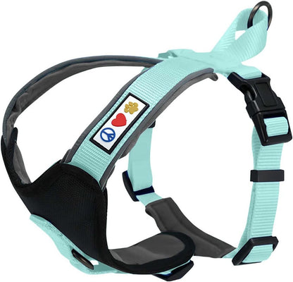 Reflective Dog Harness - Padded, Comfort Control for Walks or Runs - Medium Teal