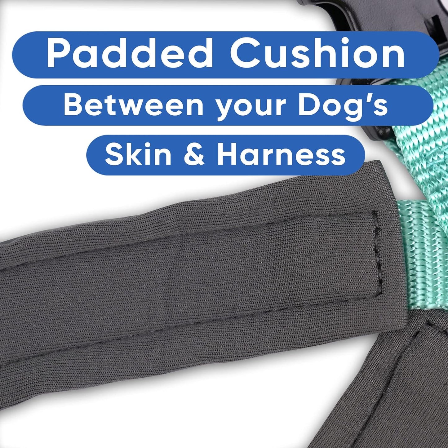 Reflective Dog Harness - Padded, Comfort Control for Walks or Runs - Medium Teal