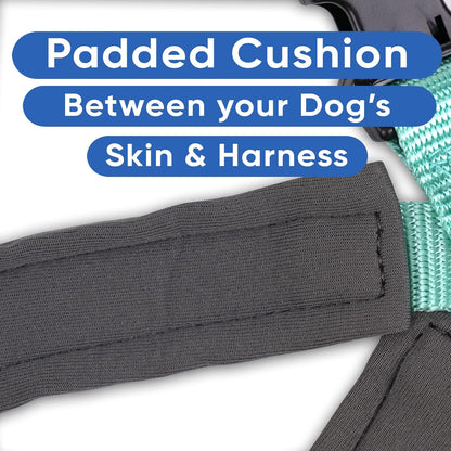 Reflective Dog Harness - Padded, Comfort Control for Walks or Runs - Medium Teal