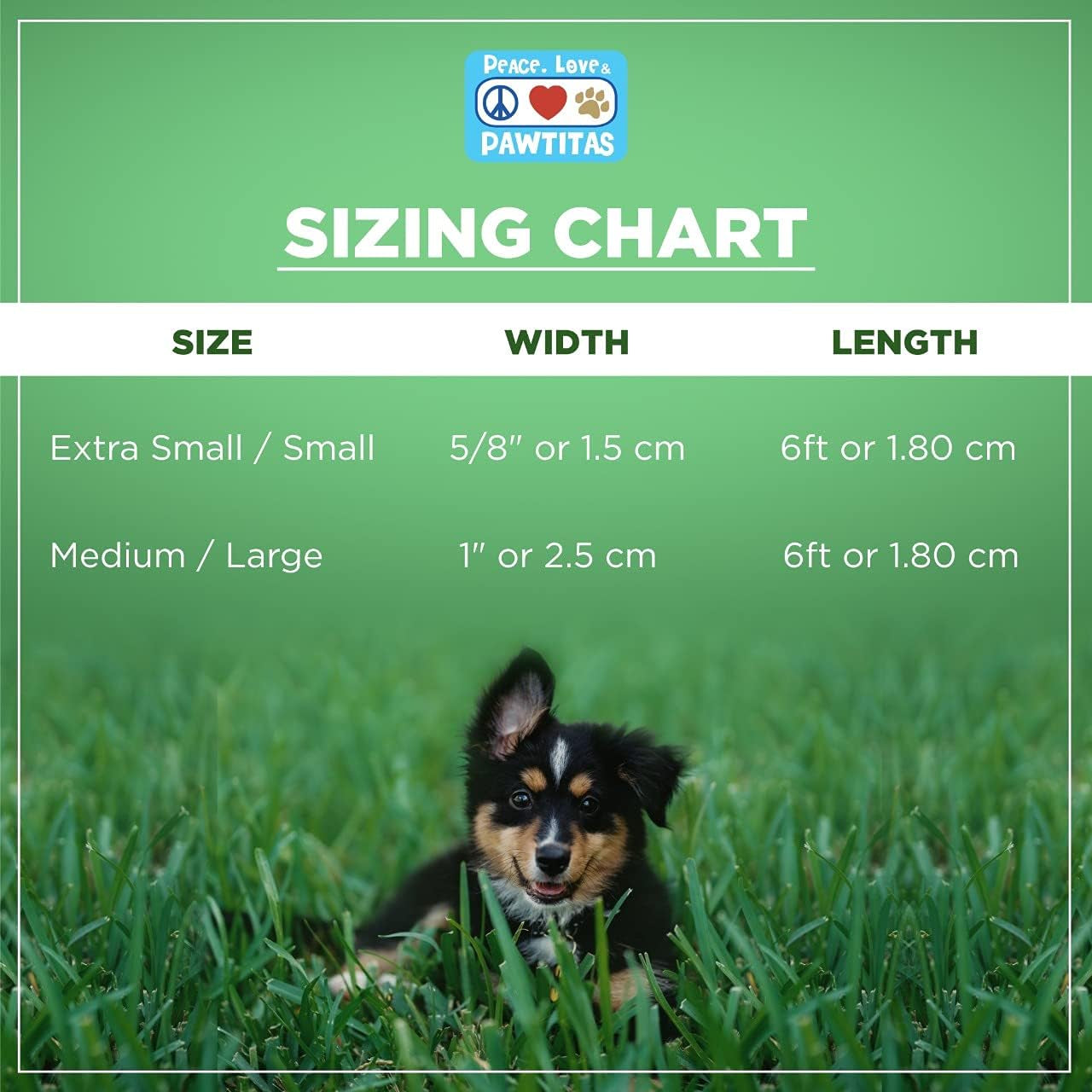 Pet / Puppy 6 - Feet Reflective Dog Leash Extra Small / Small 5/8 Inch Black Matching Collar and Harness Sold Separately.