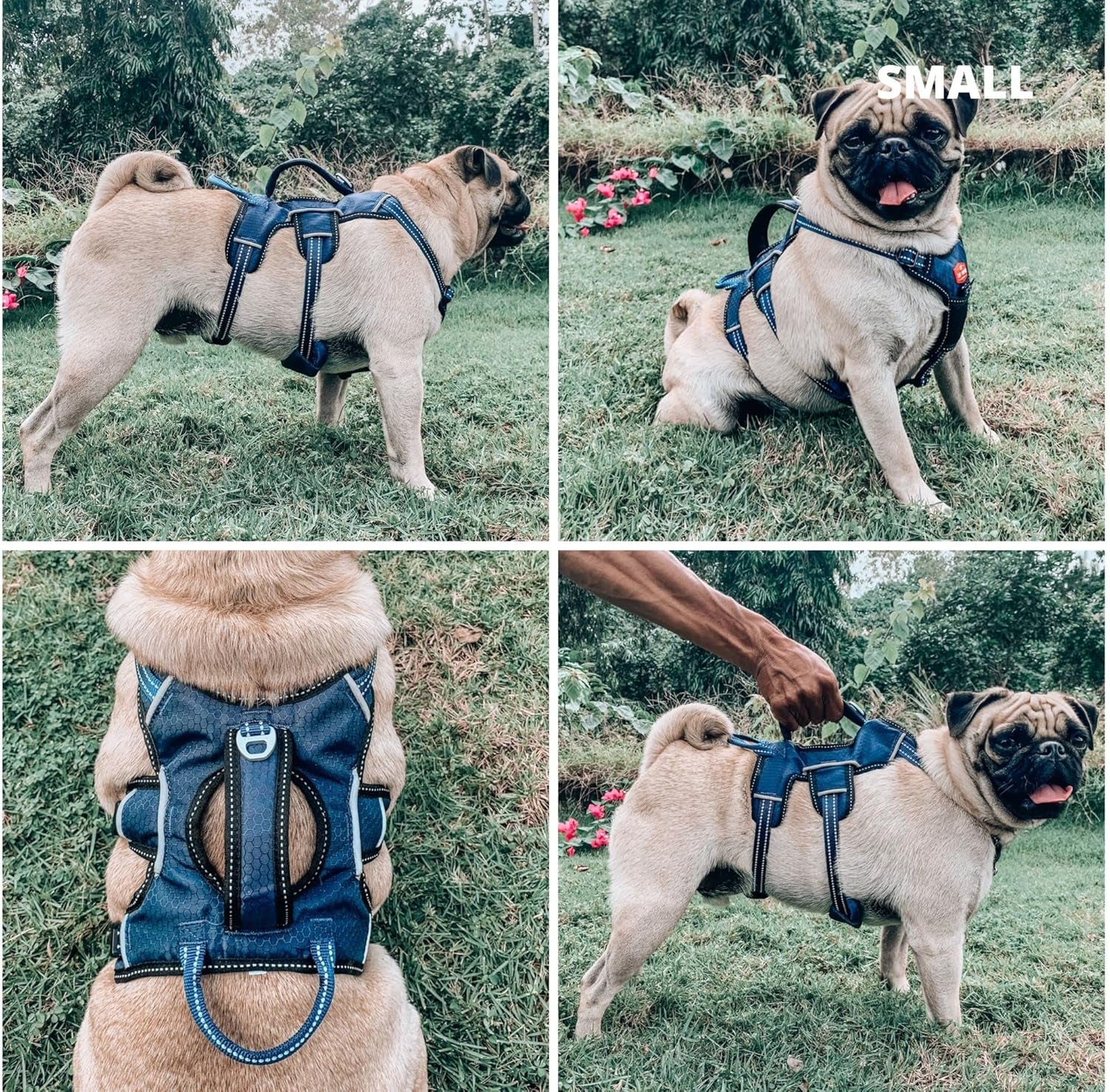 Escape Proof No Escape Dog Harness | 5 Point Adjustable Fit Harness for Dogs | Padded Dog Harnesses | Handle Dog Lift Harnesses