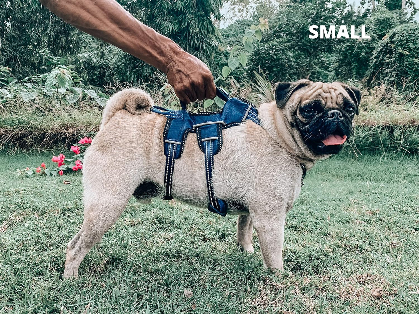 Escape Proof No Escape Dog Harness | 5 Point Adjustable Fit Harness for Dogs | Padded Dog Harnesses | Handle Dog Lift Harnesses