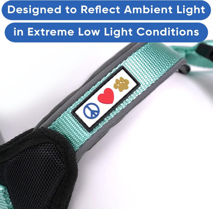 Reflective Dog Harness - Padded, Comfort Control for Walks or Runs - Medium Teal