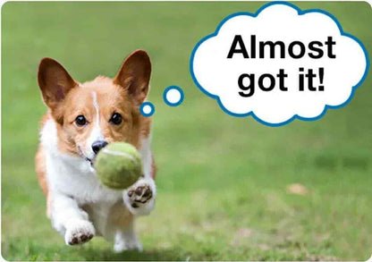 Pet Mini Tennis Ball Pets Dog Toy