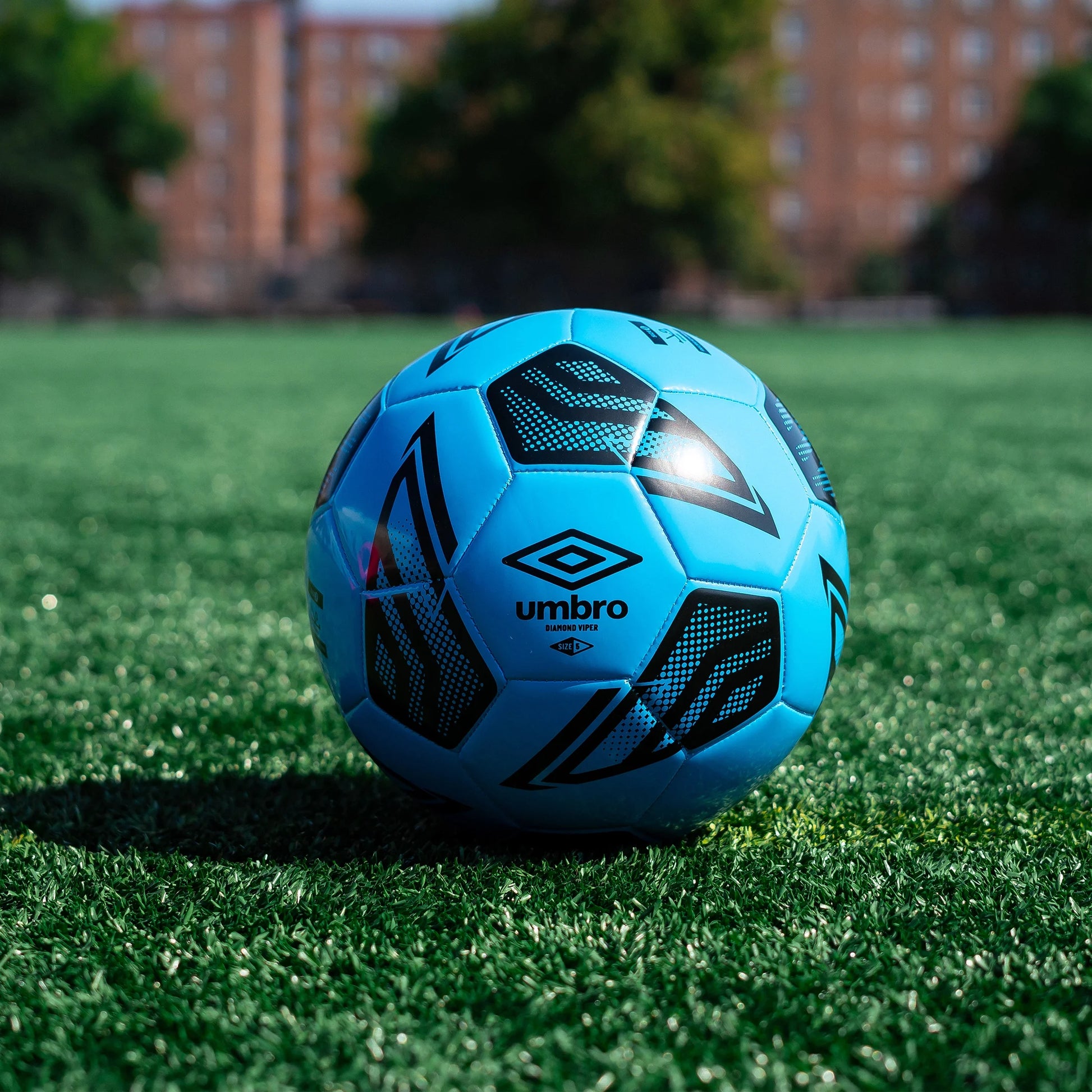 (4 Pack)  Diamond Viper Size 4 Soccer Ball, Blue